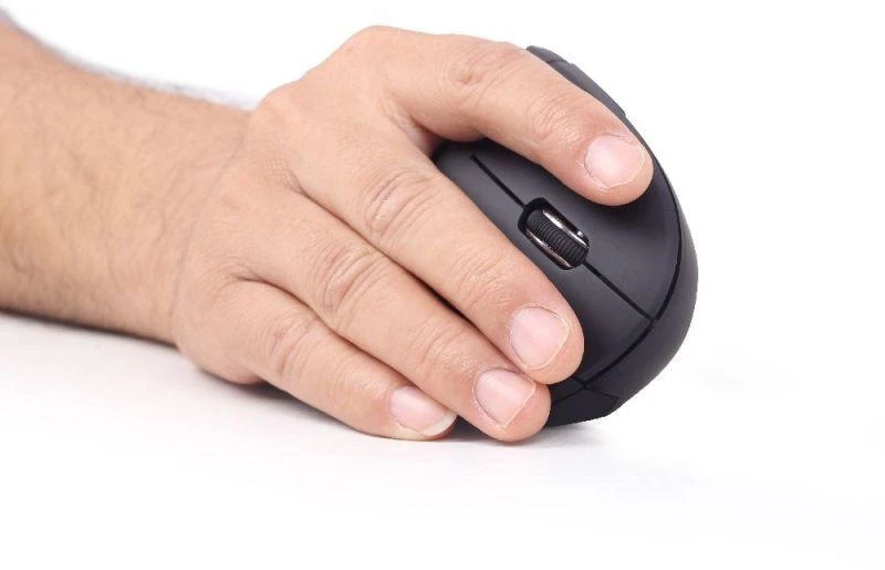 Ergonomiška belaidė pelė Gembird MUSW-ERGO-01