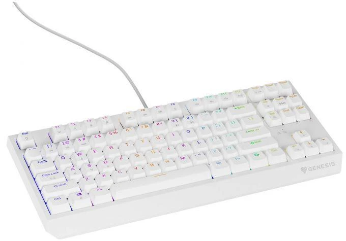 Ausinės GENESIS Thor 230 TKL USB + RF QWERTY klaviatūra