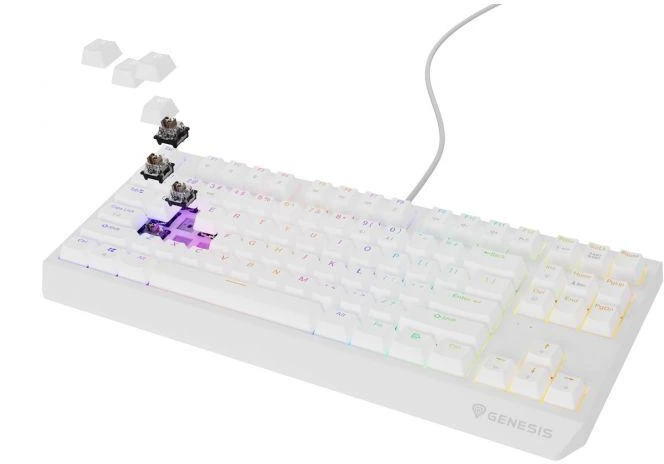 Ausinės GENESIS Thor 230 TKL USB + RF QWERTY klaviatūra