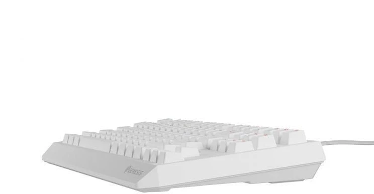 Ausinės GENESIS Thor 230 TKL USB + RF QWERTY klaviatūra