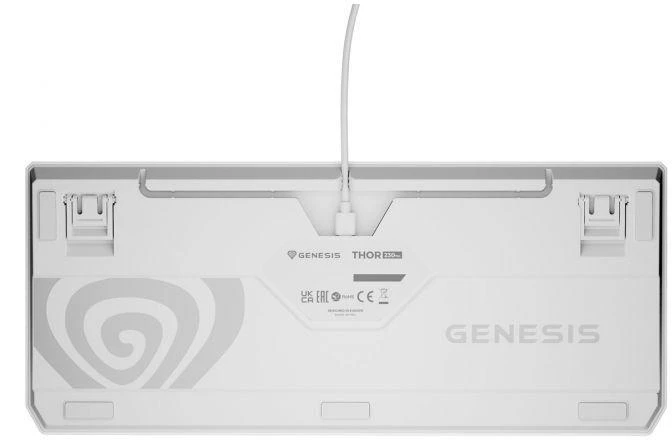 Ausinės GENESIS Thor 230 TKL USB + RF QWERTY klaviatūra