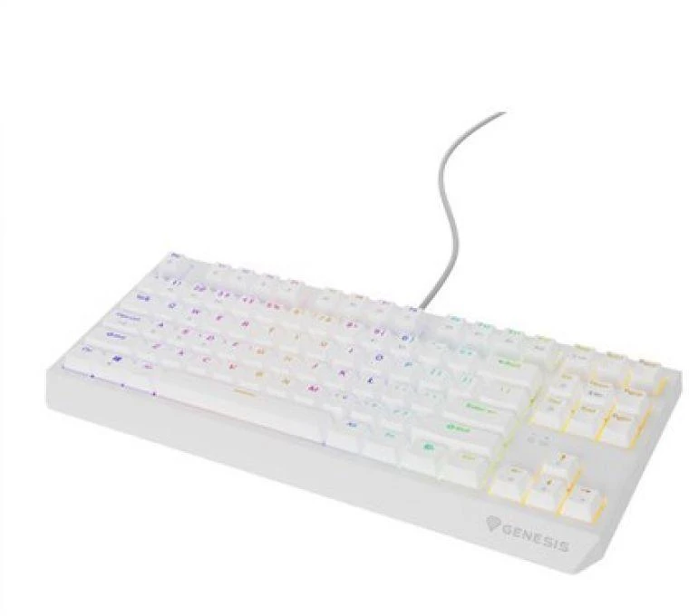 Ausinės GENESIS Thor 230 TKL USB + RF QWERTY klaviatūra