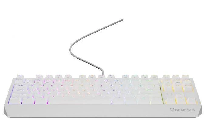 Ausinės GENESIS Thor 230 TKL USB + RF QWERTY klaviatūra