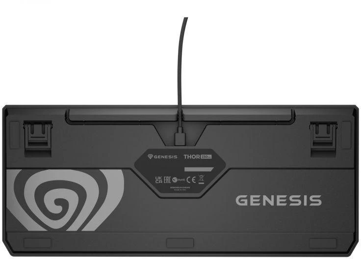 Ausinės GENESIS Thor 230 TKL žaidimų klaviatūra USB QWERTY JAV Anglų Juoda