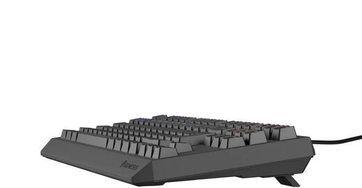 GNS GENESIS Thor 230 TKL klaviatūra Žaidimams USB QWERTY Ispanas Juoda