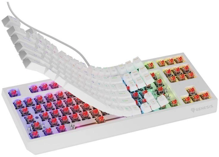 GNS GENESIS Thor 230 TKL klaviatūra Žaidimams USB QWERTY Anglų (JAV) Balta