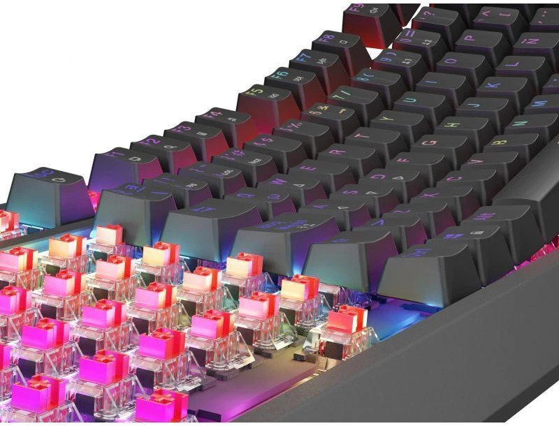 GNS GENESIS Thor 230 TKL klaviatūra Žaidimams USB QWERTY Ispanas Juoda