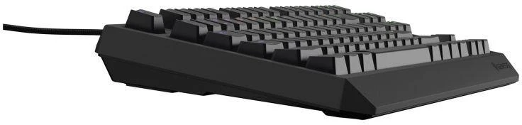 Ausinės GENESIS Thor 230 TKL žaidimų klaviatūra USB QWERTY JAV Anglų Juoda