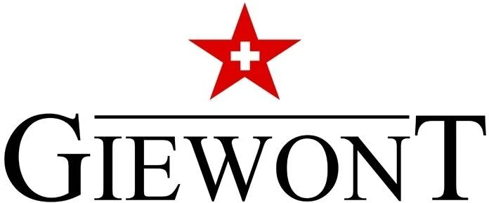 GIEWONT RealSound PRO ANC ENC GWS800-1 Belaidės ausinės juodos