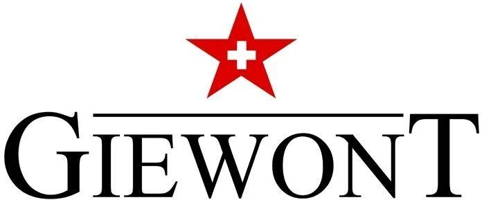 GIEWONT RealSound PRO Belaidės ausinės su ANC ir ENC GWS800-2 Baltos