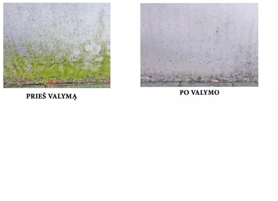 Grandininis pjūklas Samanų ir dumblių valiklis FREKENBOC, 500 ml