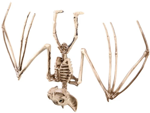 Šikšnosparnio skeletas – dekoracija 30 cm Glimz