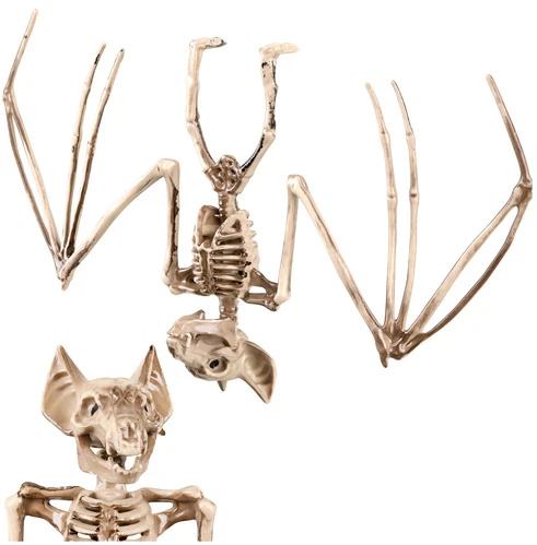 Šikšnosparnio skeletas – dekoracija 30 cm Glimz
