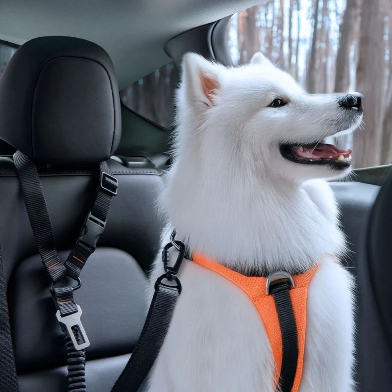Spigen PS100 Universal Car Seat Belt Holder for pets juodos spalvos