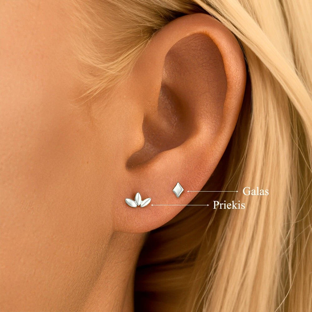 Helix auskarai Forma