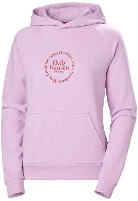 Helly Hansen Core Graphic Hoodie W 54239 052