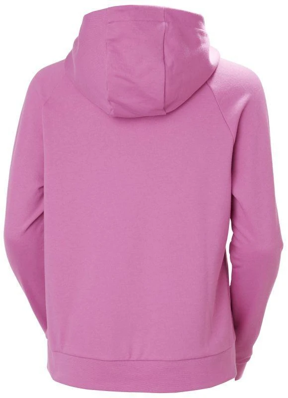 Helly Hansen Core Graphic Hoodie W 54239 089