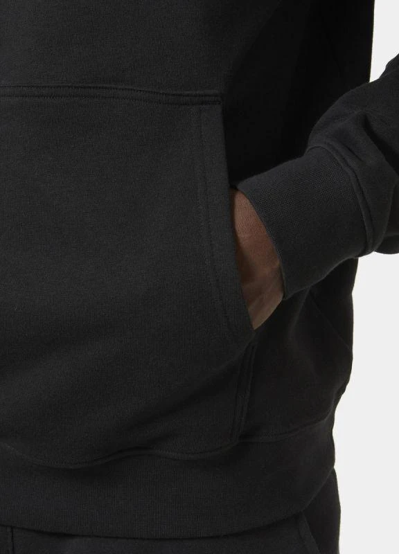 Helly Hansen Core Graphic Sweat Hoodie M 53924 993