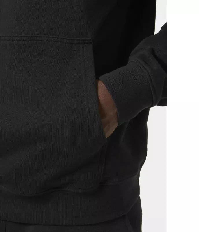 Helly Hansen Core Graphic Sweat Hoodie M 53924 993