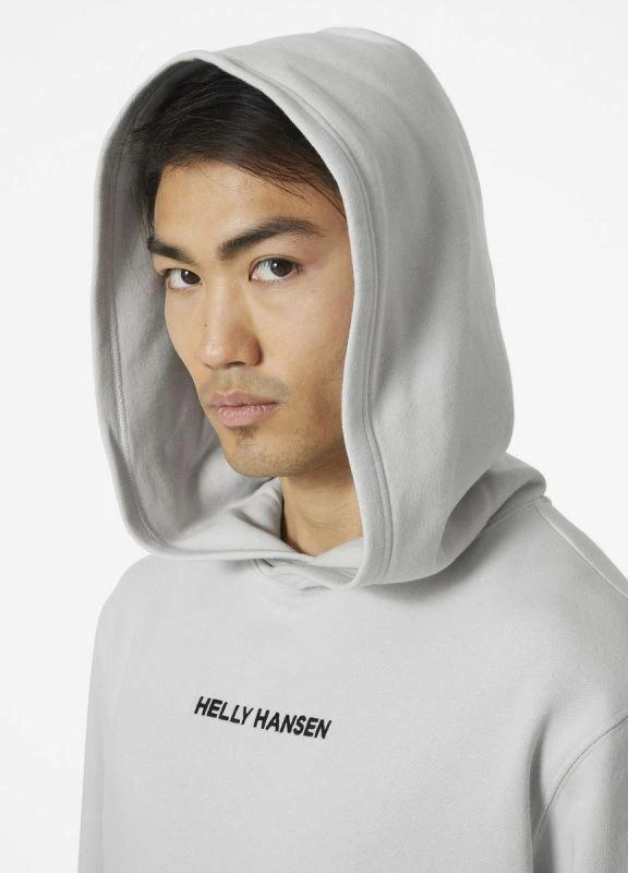 Helly Hansen Core Graphic Sweat Hoodie M 53924 825