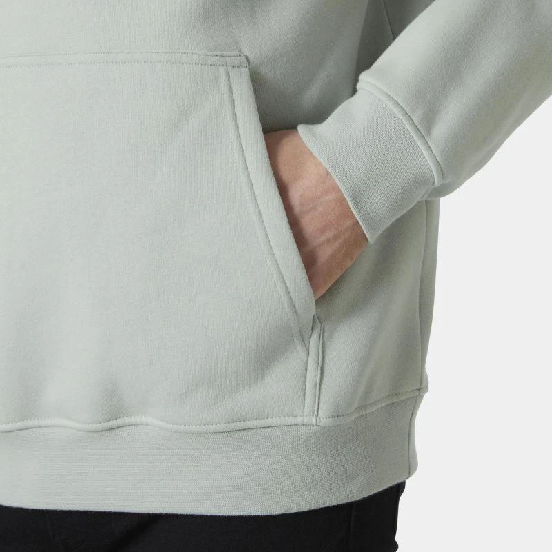Helly Hansen medvilninis flisinis džemperis su gobtuvu M 54158 462
