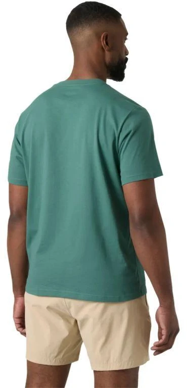 Helly Hansen vyriški marškinėliai HH BOX T 2.0 54597 494
