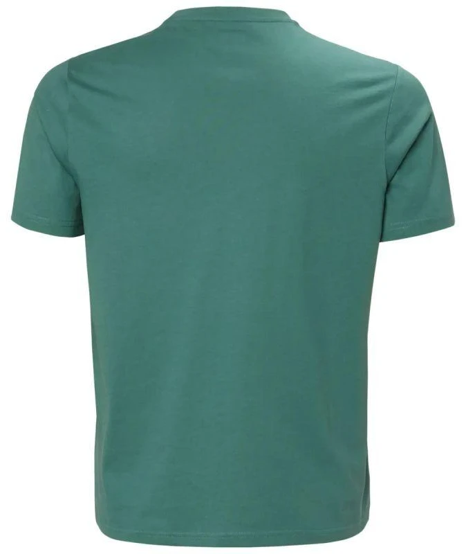 Helly Hansen vyriški marškinėliai HH BOX T 2.0 54597 494
