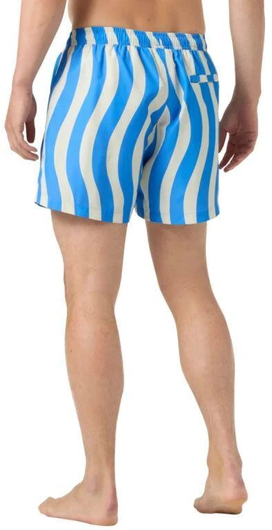Helly Hansen vyriški maudymosi šortai NEWPORT TRUNK 4.5 54586 554