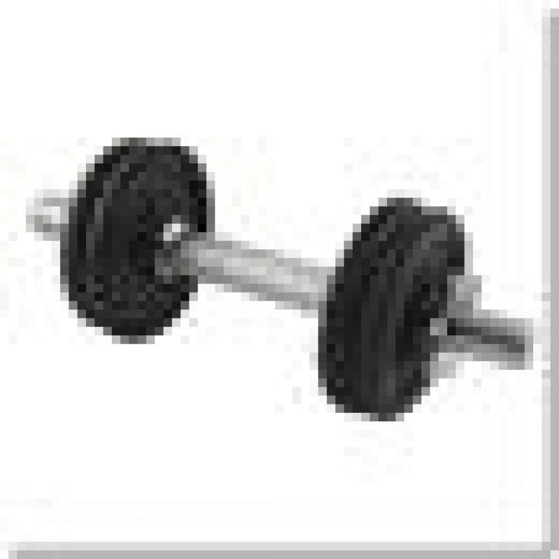 Srieginis hantelis HMS SG03 10kg