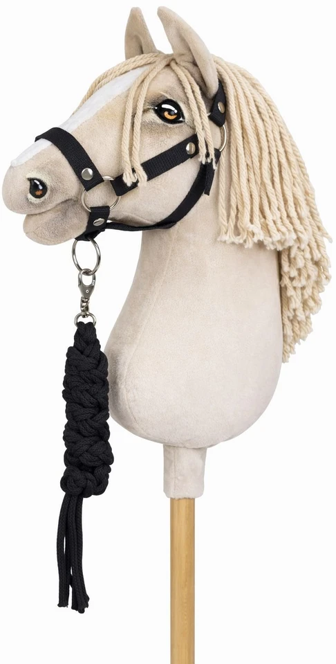 Super Hobby Horse Raitelio komplektas vaikams su pavadėliu, juodas
