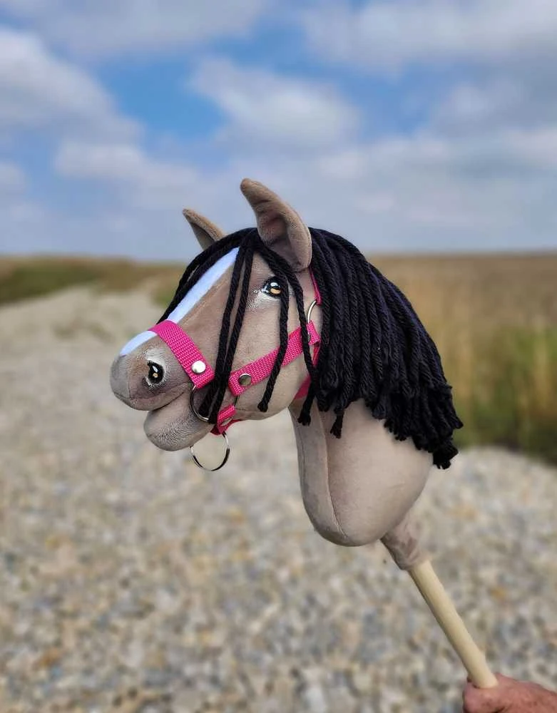 Hobby Horse arkliukas Super Premium A4