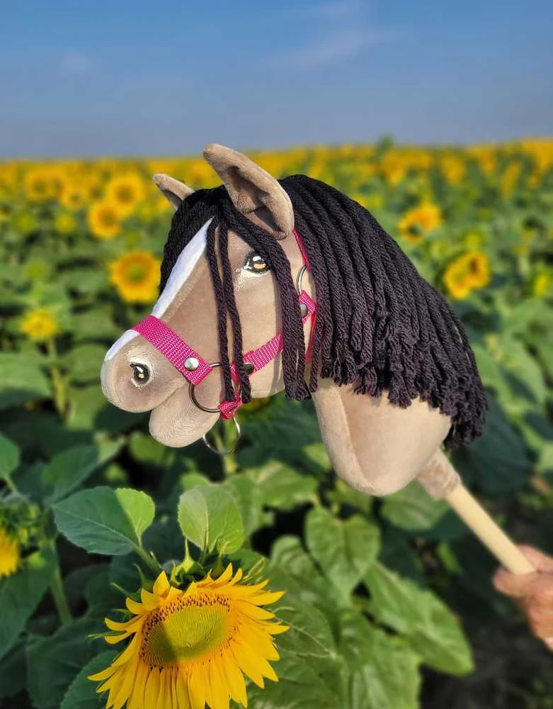 Hobby Horse arkliukas Super Premium A4