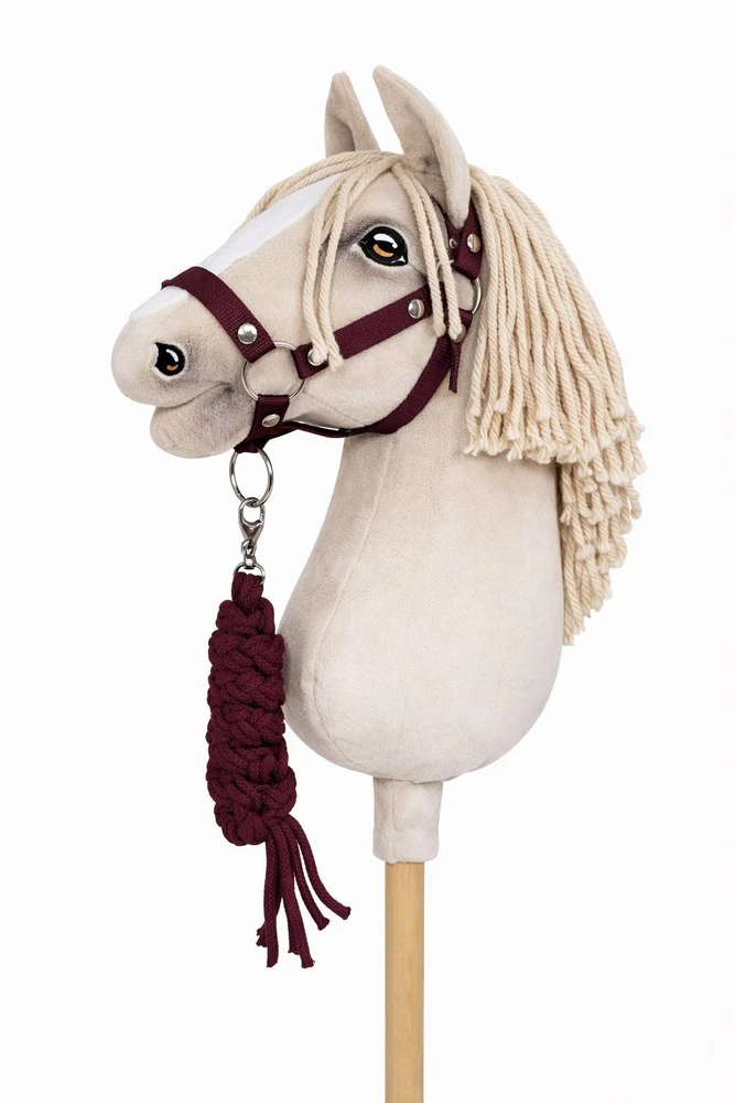 Super Hobby Horse Raitelio žirgo komplektas vaikams su pavadėliu, slyvų spalvos