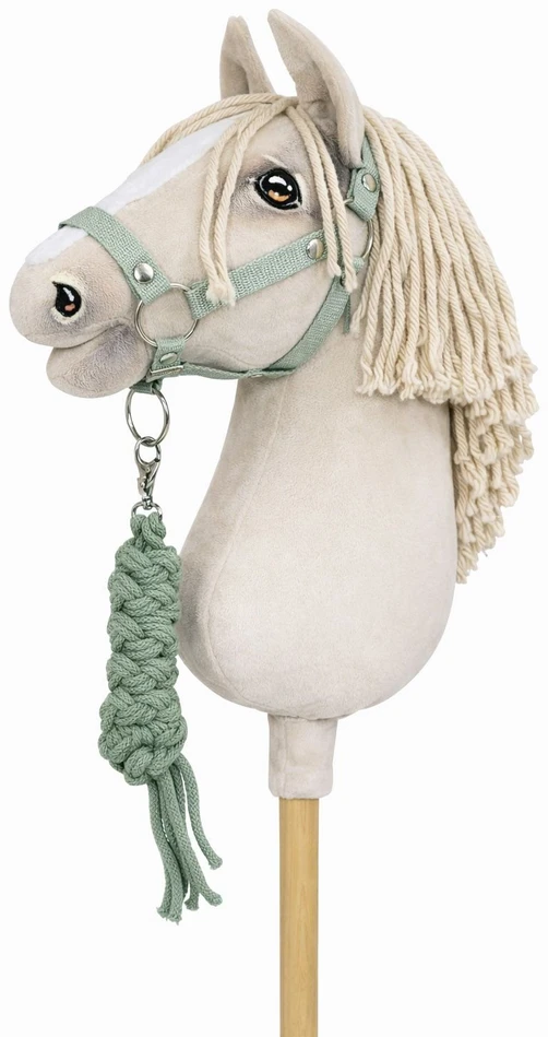 Super Hobby Horse Raitelio žirgo komplektas vaikams su pavadžiu, žalsvas
