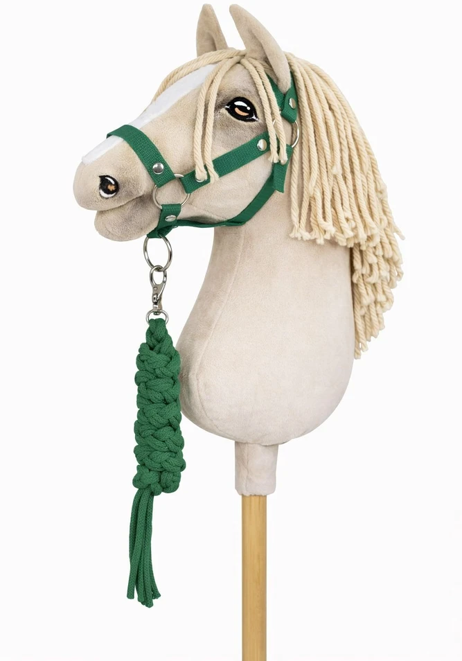 Super Hobby Horse Raitelio žirgo komplektas vaikams su pavadėliu, žalias