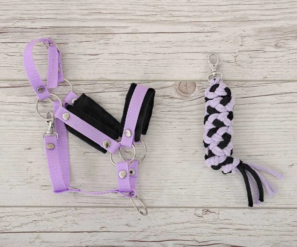 Hobi arkliuko kantaras ir pavadys – juoda ir violetinė