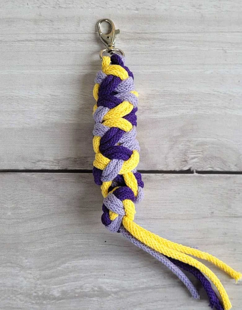 Hobio arklio pavadis, dvigubas, violetinis/geltonas