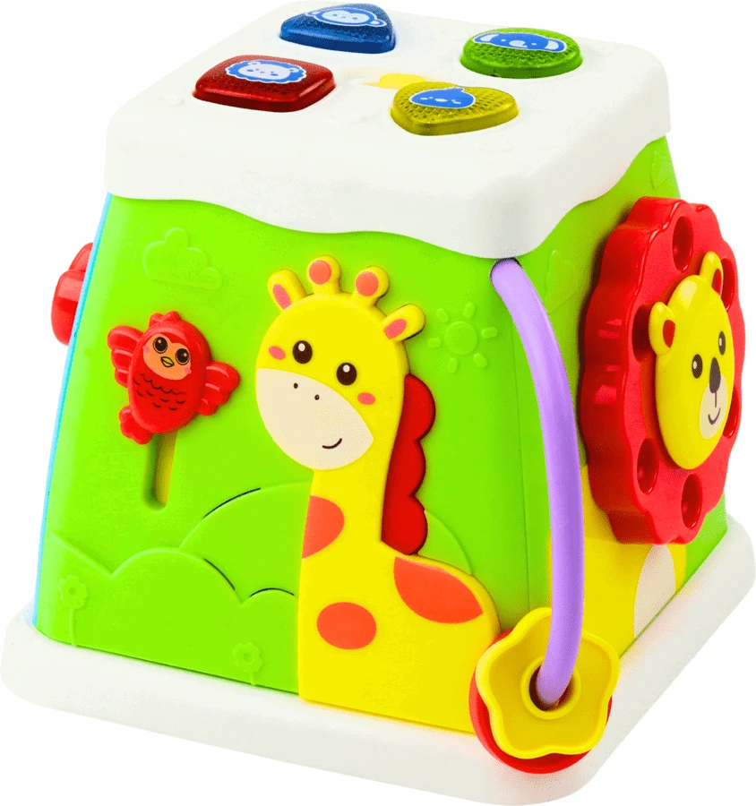 Lean Toys Multifunkcinis lavinamasis kubas
