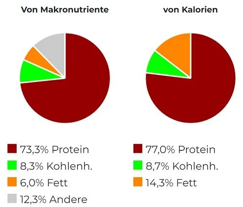 Išrūgų baltymų milteliai Scitec 100% Whey Protein Professional 1000 g, baltojo šokolado skonio
