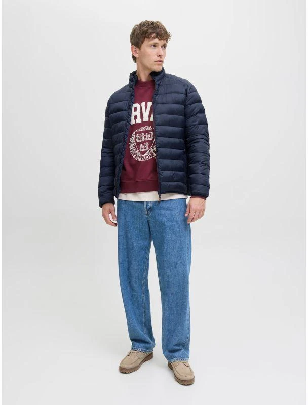 Jack&Jones vyriška pūkinė striukė JJEBRADLEY LIGHT PUFFER COLLAR NOOS 12280971 SKY CAPTIN
