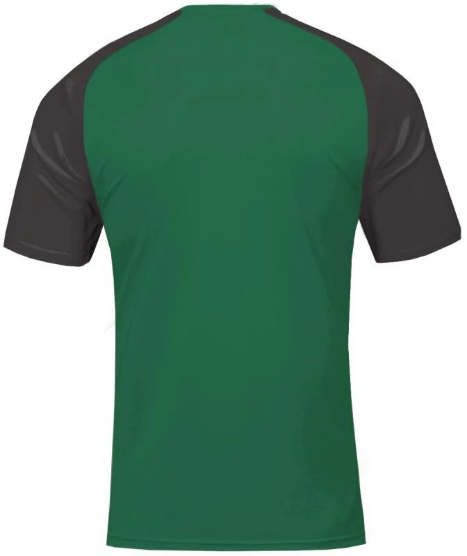 Joma Academy IV Sleeve futbolo marškinėliai 101968.451