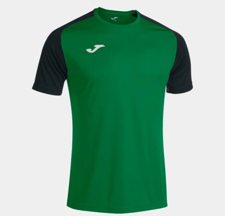 Joma Academy IV Sleeve futbolo marškinėliai 101968.451