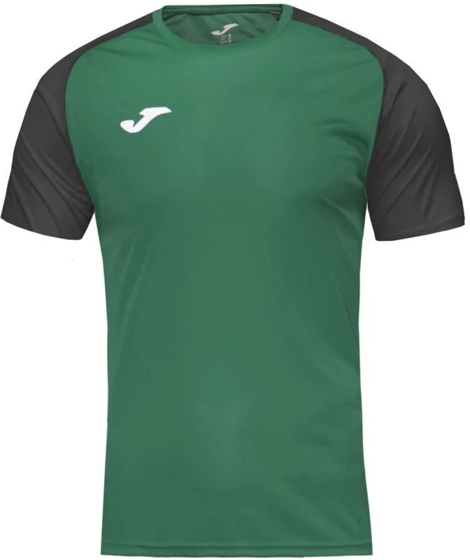 Joma Academy IV Sleeve futbolo marškinėliai 101968.451