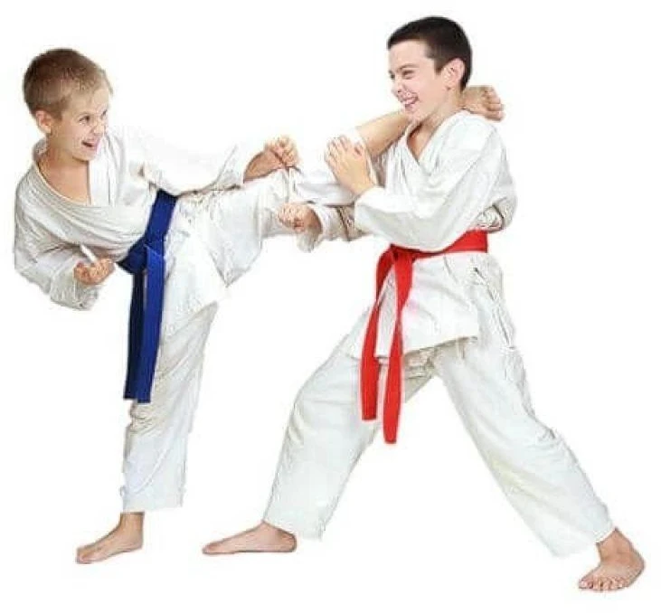 Karate kimono vaikams + nemokamas diržas - DBX BUSHIDO ARK-3102 120 cm
