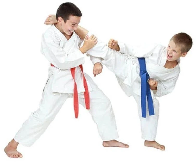 Karate kimono vaikams + nemokamas diržas - DBX BUSHIDO ARK-3102 120 cm