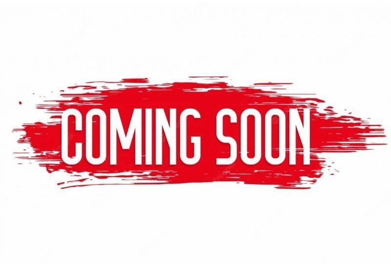 Karl Kani moteriškas batas 89UP Logo Prm PD00002700