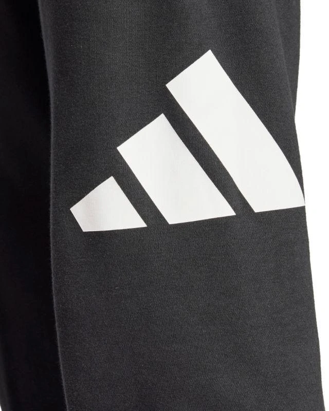 Kelnės Adidas Essentials Big Logo French Terry M IN6163