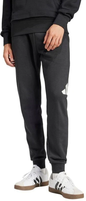 Kelnės Adidas Essentials Big Logo French Terry M IN6163