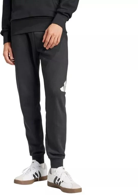 Kelnės Adidas Essentials Big Logo French Terry M IN6163