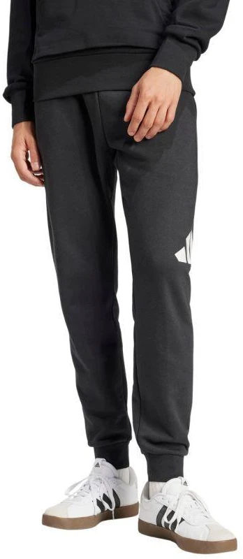 Kelnės Adidas Essentials Big Logo French Terry M IN6163
